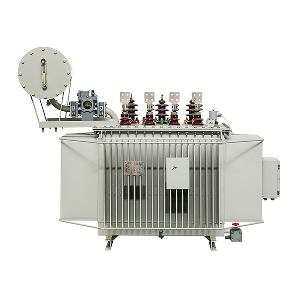 Oil-immersed transformer S13